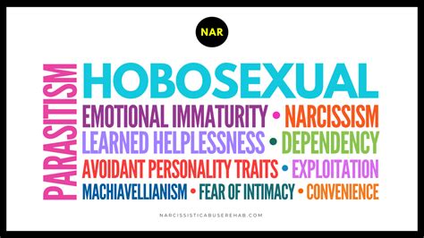 what is a hobosexual|Hobosexual